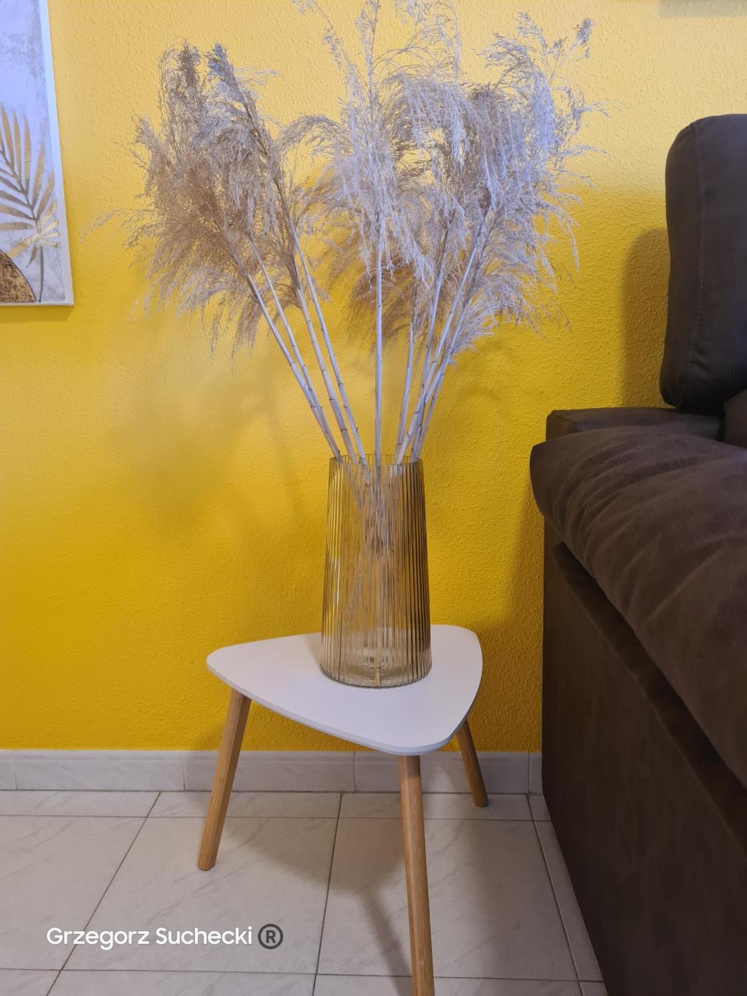 דירות לה מאטה Apartamento Parquemar מראה חיצוני תמונה